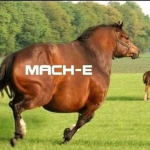 Meet your Posher, Bill